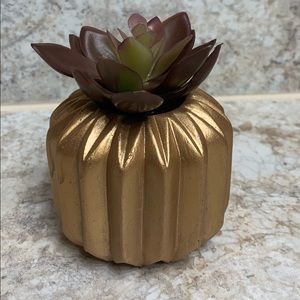 Potted Faux Succulent